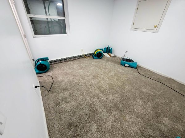 Flood Restoration Service in Tampa