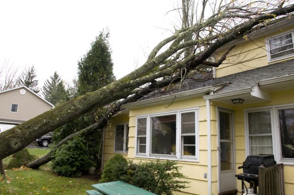 Hurricane Damage Repair in Tampa